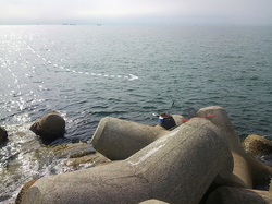 003.jpg