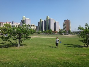 005.jpg