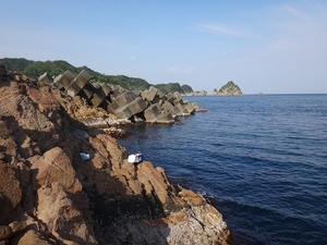 126.jpg