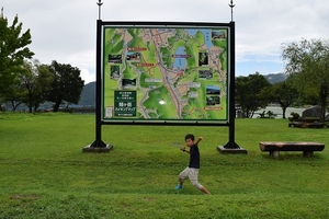 163.jpg