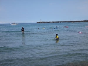 173.jpg
