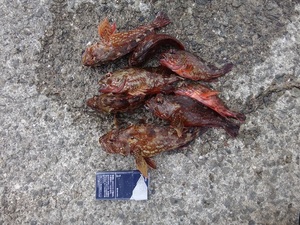 8.JPG