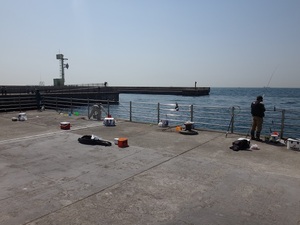 DSC00002.JPG