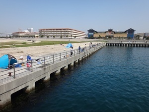 DSC00003.JPG