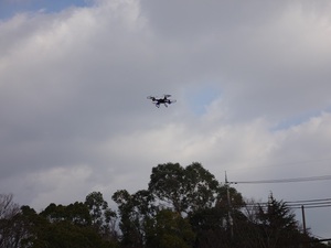 DSC00014.JPG