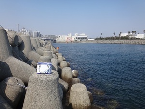 DSC00020.JPG