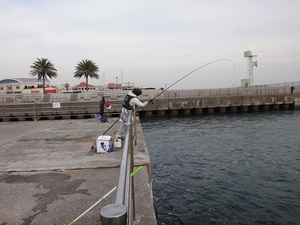 DSC00025.JPG