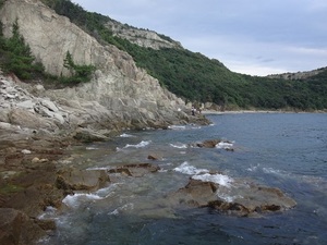 DSC00039.JPG