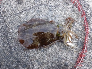 DSCF2055.JPG