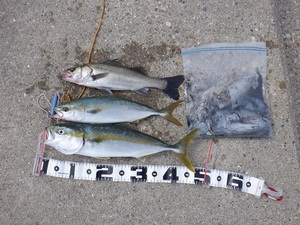 DSCF2058.JPG