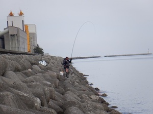 DSCF2278.JPG
