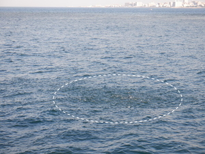 DSCF2820.JPG