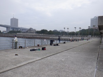 DSCF3819.JPG