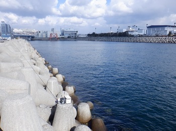 DSCF4847.JPG