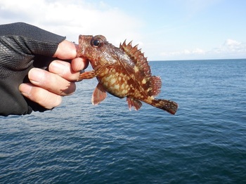 DSCF4860.JPG
