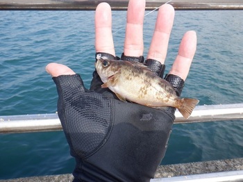 DSCF5169.JPG