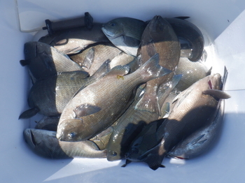 DSCF5392.JPG