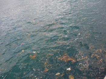 DSCF5401.JPG