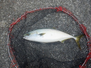 DSCF5681.JPG