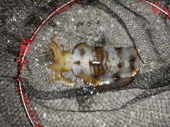 DSCF5840.JPG