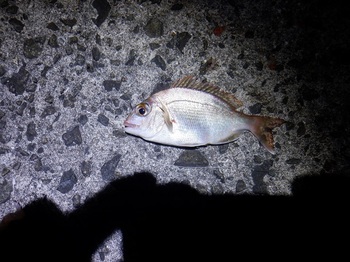 DSCF5869.JPG