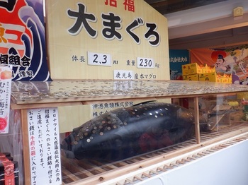 DSCF5951.JPG