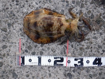 DSCF7835.JPG
