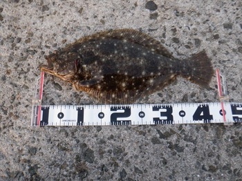 DSCF7836.JPG