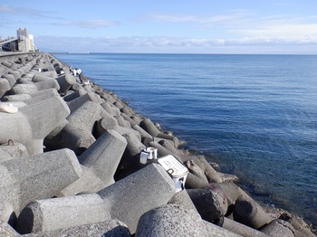 DSCF7881.JPG