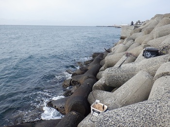 DSCF7910.JPG