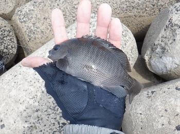 DSCF7911.JPG