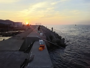 DSC_0138.JPG