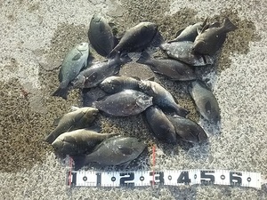 DSC_0167.JPG