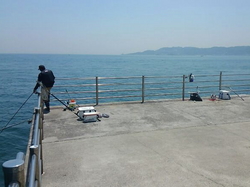 IMG_2014050240978.jpg