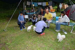 IMG_20150813_48129.jpg
