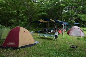IMG_20150813_57855.jpg