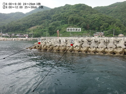 a.jpg