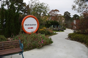 c01.jpg
