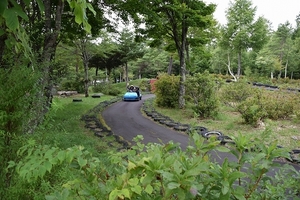 d004.jpg