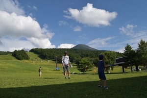 d005.jpg